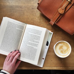 Dream by Day book reviews