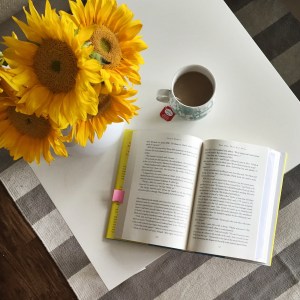 The One That Got Away by Leigh Himes