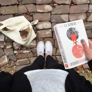 A Darker Shade of Magic by V.E. Schwab