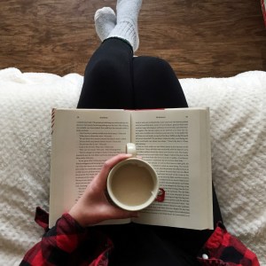 the guineveres by sarah domet